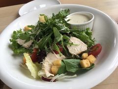 -LENBACH兰巴赫西餐啤酒坊(大连东港店)