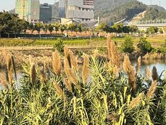 -光明小镇欢乐田园