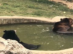 -无锡动物园·太湖欢乐园