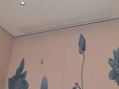 -梅利汴京烤鸭•开封豫菜地标店(铁北街店)