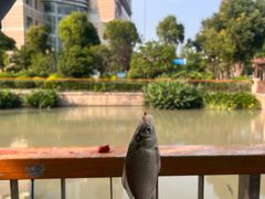 -蓝天路(地铁站)