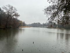 -井之头恩赐公园