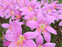 -白鹭湾湿地公园