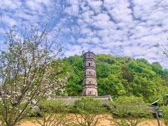 -紫阳古街