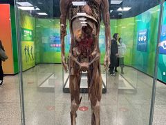 -国家自然博物馆