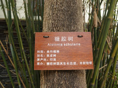 -三亚亚龙湾五号度假别墅酒店