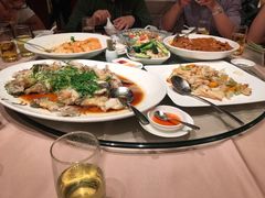 清蒸东星斑-陶陶居海鲜酒家(新马路店)