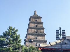 -臻品足道(后湖店)