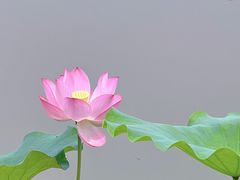 -嘉北郊野公园