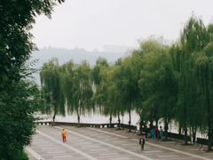 -张坝桂圆林公园