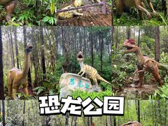 -森波拉奇妙世界