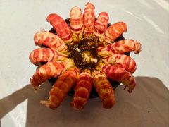 -一棠龙虾•王牌虾球(恒隆广场店)