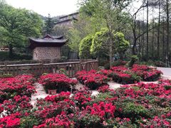 -木兰云雾山