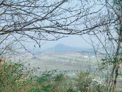 -上海佘山国家森林公园天马山园