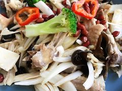 新疆椒麻鸡-董小西的凉皮和椒麻鸡(三元桥店)