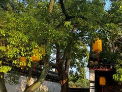 -丝绸小镇荻港古村