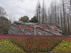-东平国家森林公园