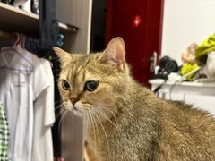 -海底捞火锅(坪山益田假日广场店)