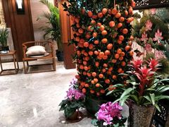 大堂-明仕田园酒店