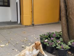 -西园戒幢律寺