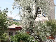 -西宁市东关清真大寺