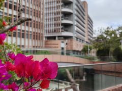 -香港大学
