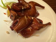 -觅唐MITONG(鸟巢店)