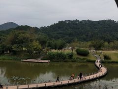 -国恩寺