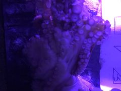 -沈阳海洋探索中心