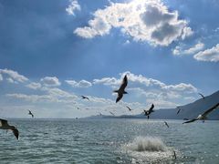 -滇池海埂公园