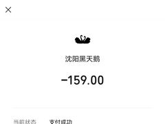 -黑天鹅蛋糕店(青年大街店)