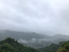 -四明山国家森林公园