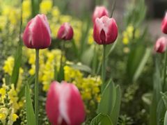 -百美汇影城(LUXE嘉里中心店)