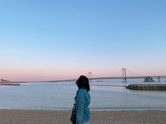 -星海湾跨海大桥