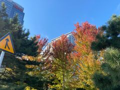 -万鼎沸菌汤火锅(柘城店)