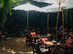 -Fern Forest Cafe