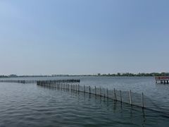 -鹅湖玫瑰文化园