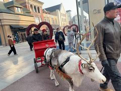 -王府井奥莱棋盘山小镇