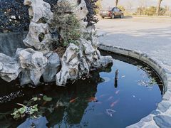 -呼吸森林·生态农庄农家乐私房菜