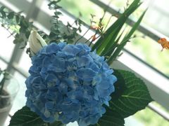 -星巴克(上海南站店)