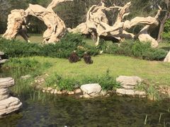 -沈阳鸟岛