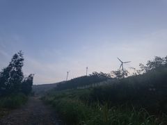 -东白山