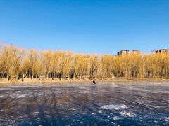 -东坝千亩湖公园