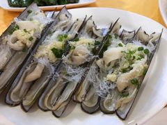 爱尔兰圣子皇-蚝专家(北滘店)