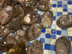 -顺德了能馆(虎门店)