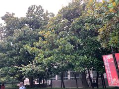 -江苏第二师范学院(草场门校区)