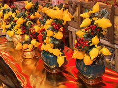 -越秀西湖花市(广州城市广场花卉店)