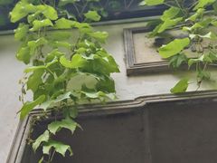 -先蚕祠
