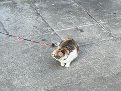 -Again Coffee Roaster(香蜜湖店)