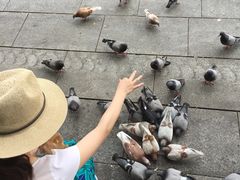 -巴塞罗那主教座堂